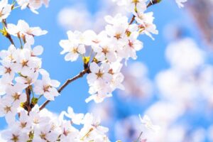 どこに行っても生きていける子を育てる